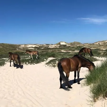 Klein Geluk Egmond aan Zee